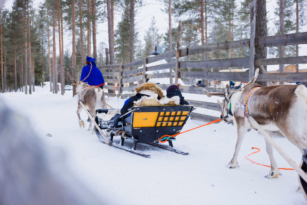 Reindeer sledge ride about to start