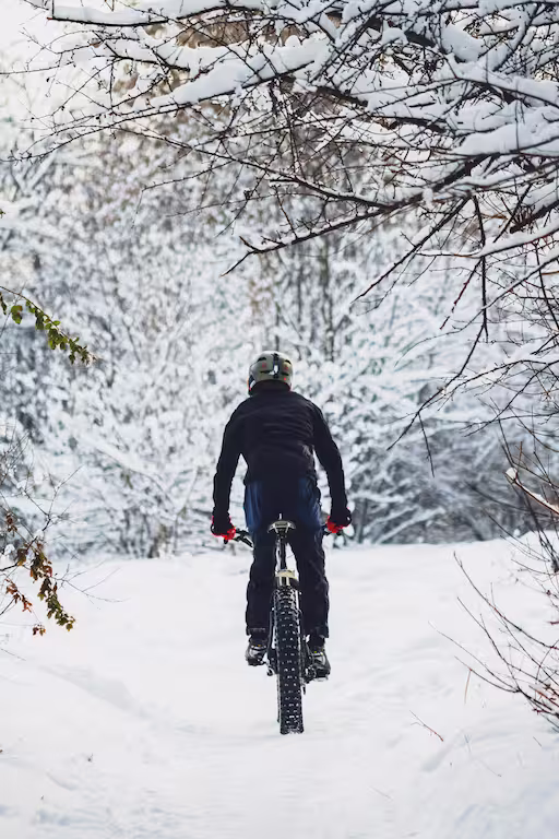 adult driving a fatbike down a winter forest path