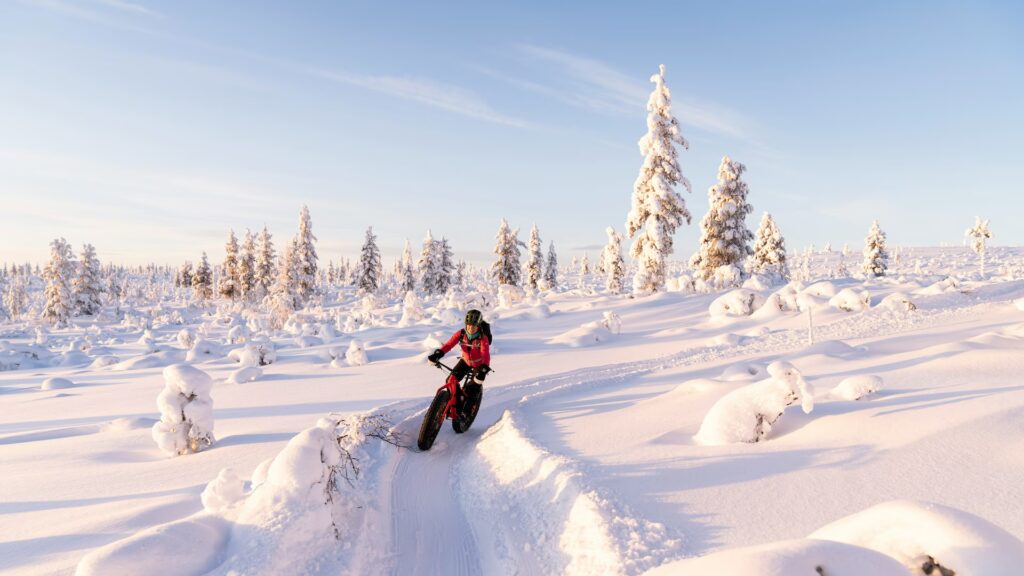 Riding a Fatbike on winter trails in Lapland.
