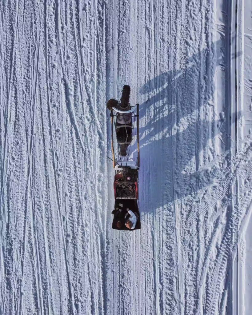 horse sledge pictured from above