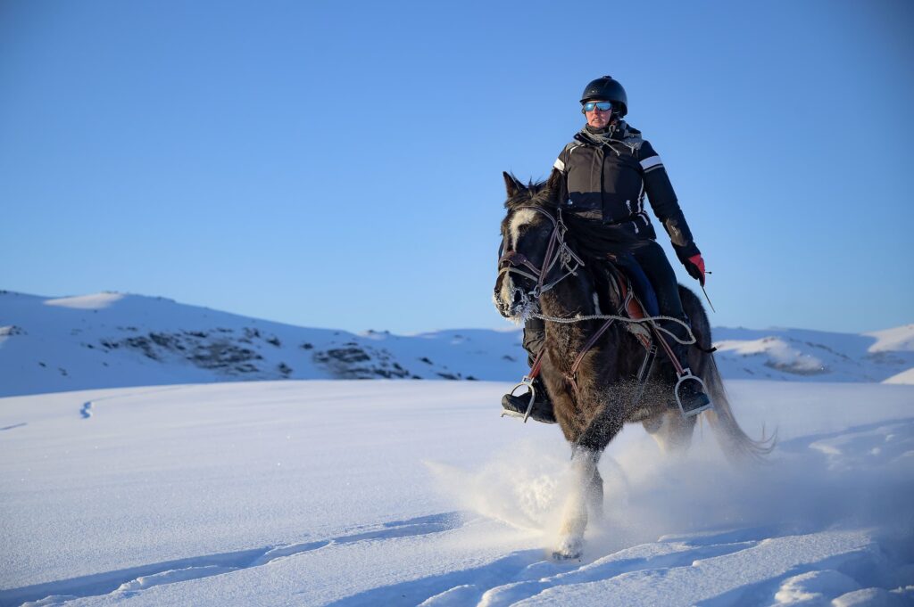 Horseback riding on arctic scenery